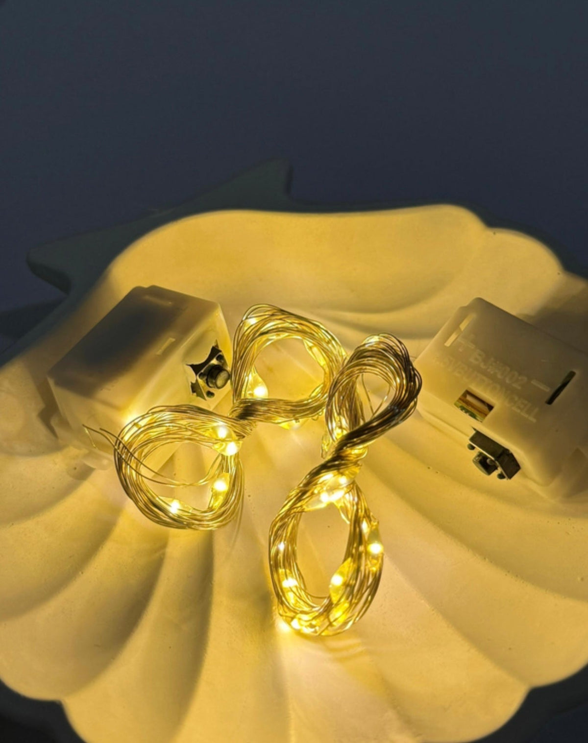 Fairy lights