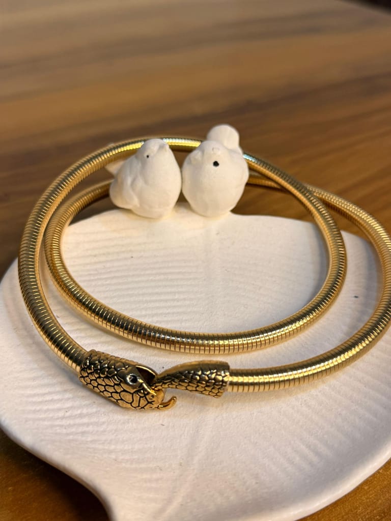 Snake hand & neck piece