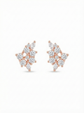 Firefly Studs