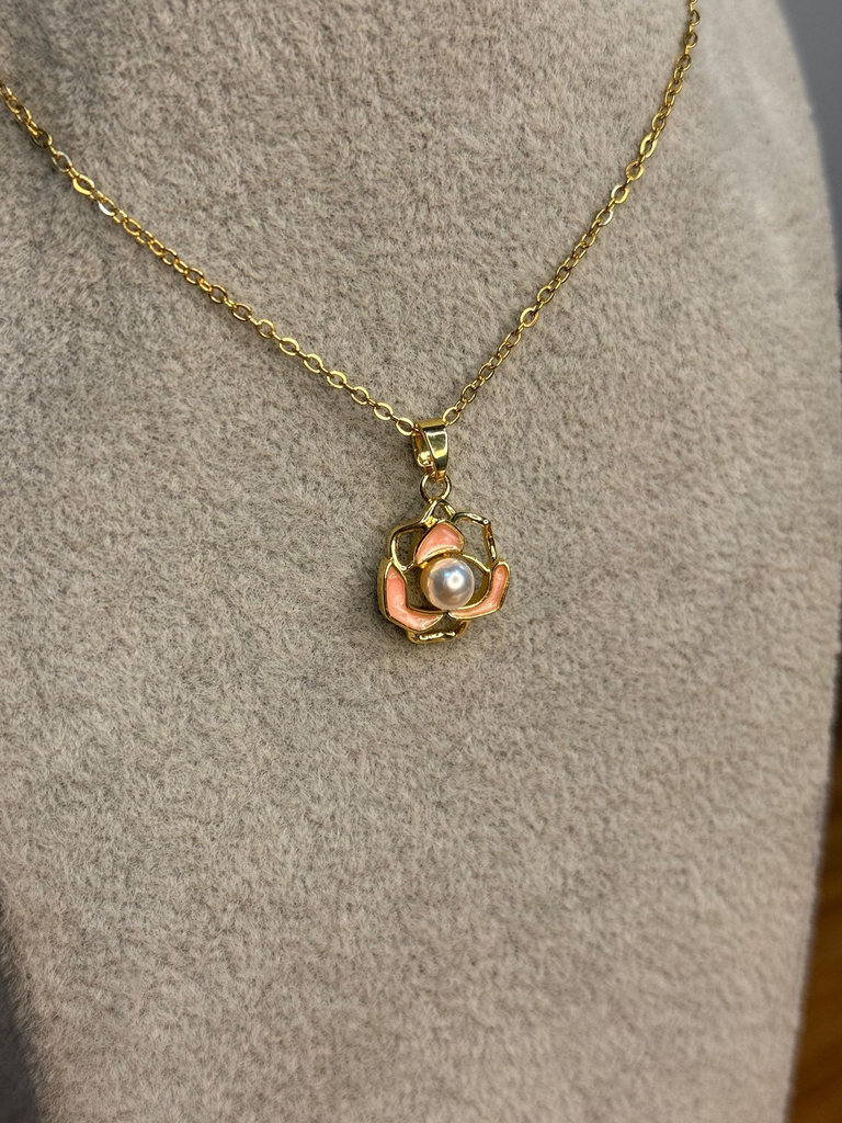 WhatsApp Image 2025-12-29 at 18.59.57.webp