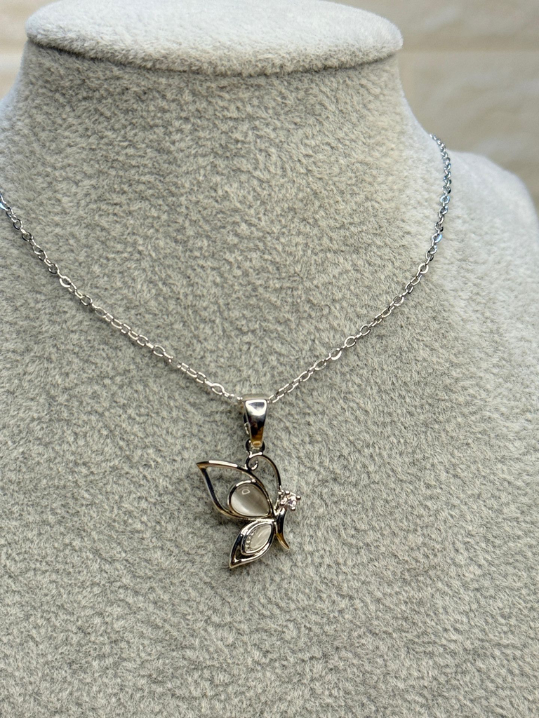 WhatsApp Image 2025-12-25 at 20.21.39.webp