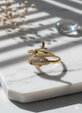Dolphin ring 