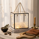 Box with lights